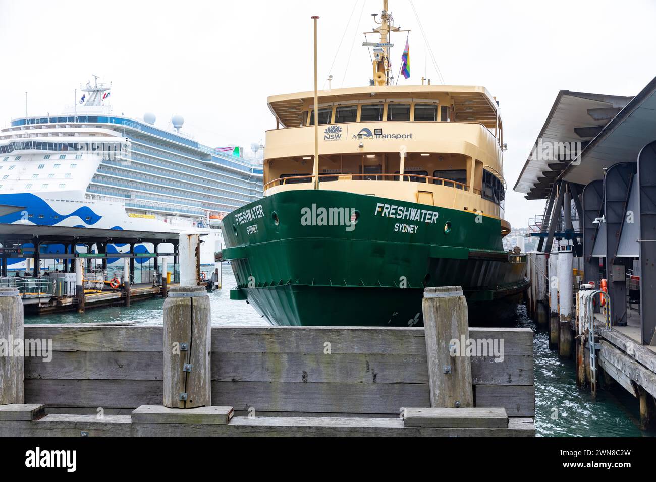 Circular Quay Fährhafen, Freshwater Class Manly Fähre, MV Freshwater vor Anker gebracht, mit Majestic Princess Kreuzfahrtschiff am Übersee Terminal Stockfoto