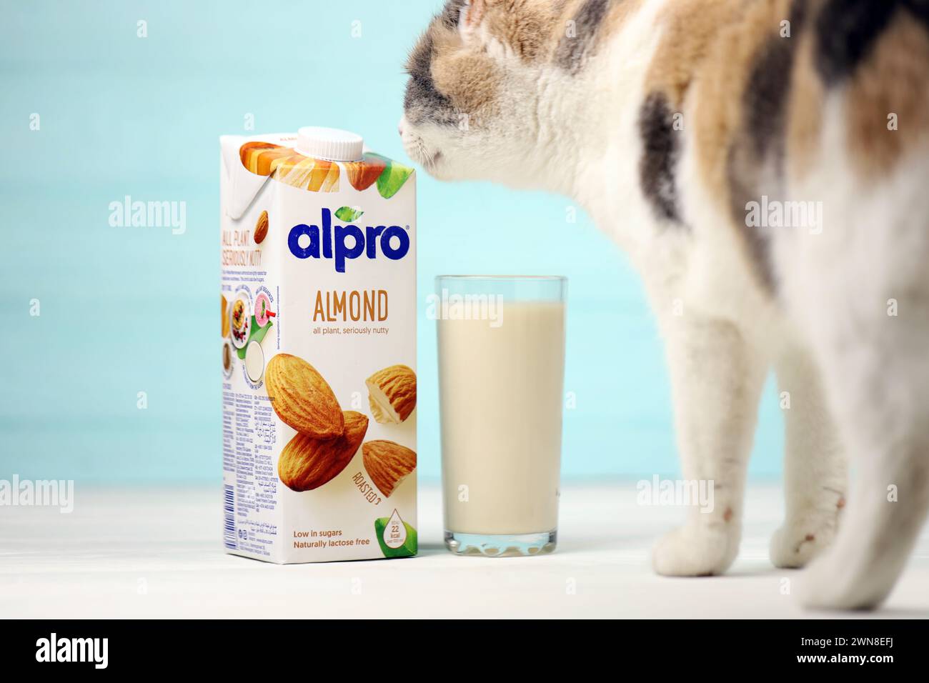 KHARKIV, UKRAINE - 2. JANUAR 2021 Alpro Mandel vegetarische Milchpackung, hergestellt von einem europäischen Unternehmen mit Sitz in Wevelgem, Belgien Stockfoto