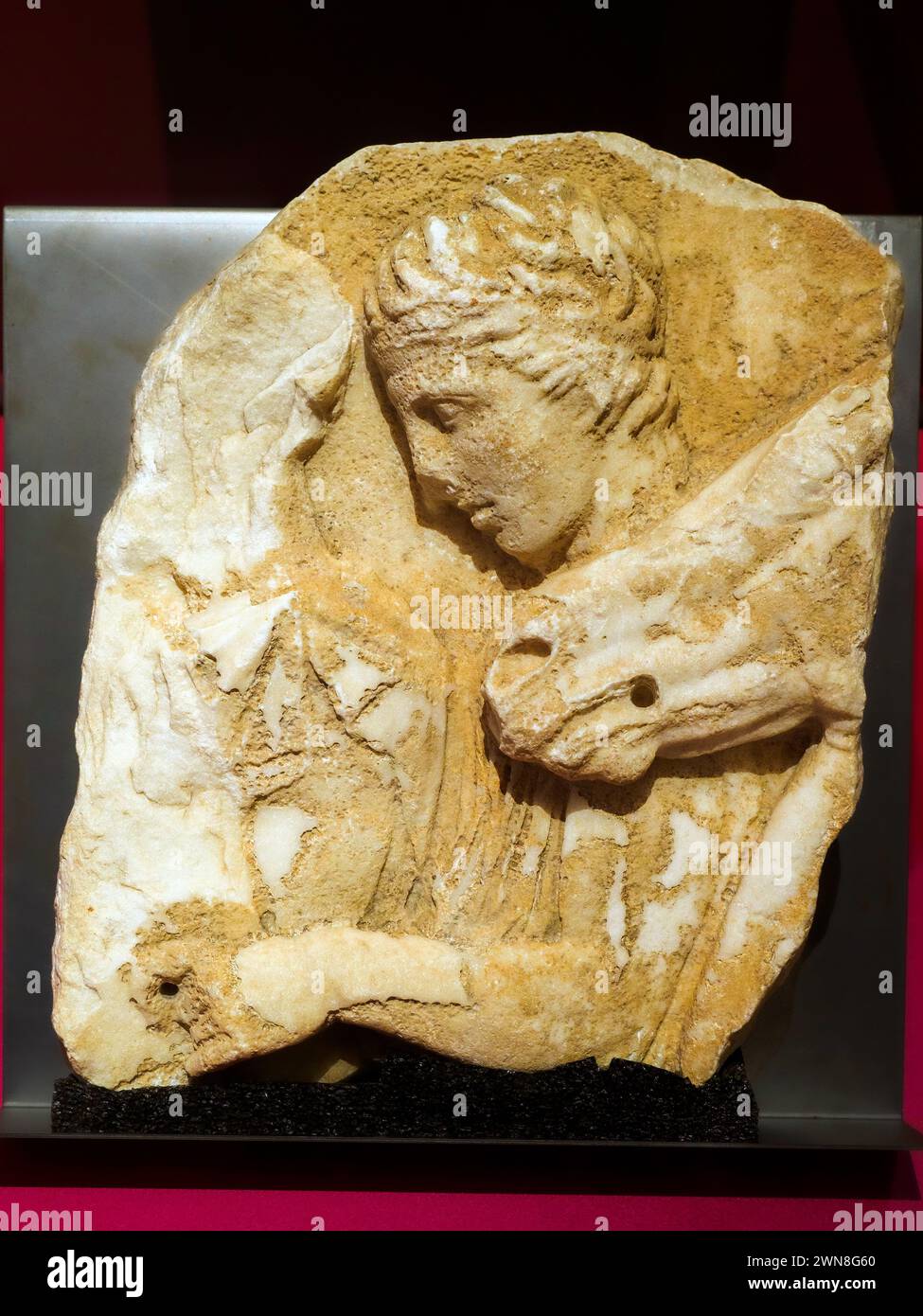 Fragment des Südfries des Parthenon mit Jugendlichen und Ochsen aus Athen, Akropolis - Pentelismarmor, 447-438 v. Chr. - Akropolis-Museum in Athen, Griechenland Stockfoto