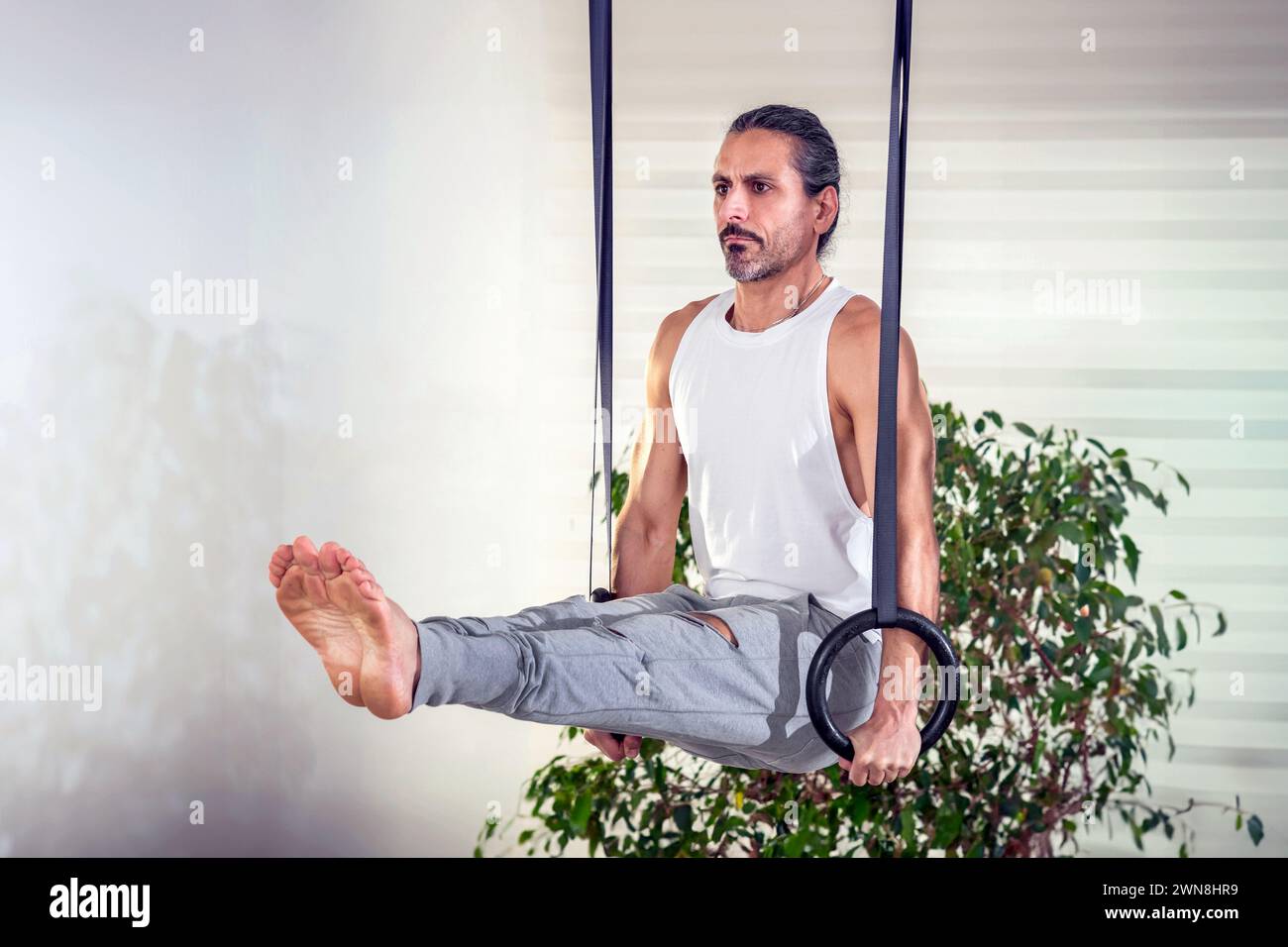 Erwachsener Mann, der während des Fitnesstrainings zu Hause mit Ringen gegen Topfpflanzen trainiert Stockfoto