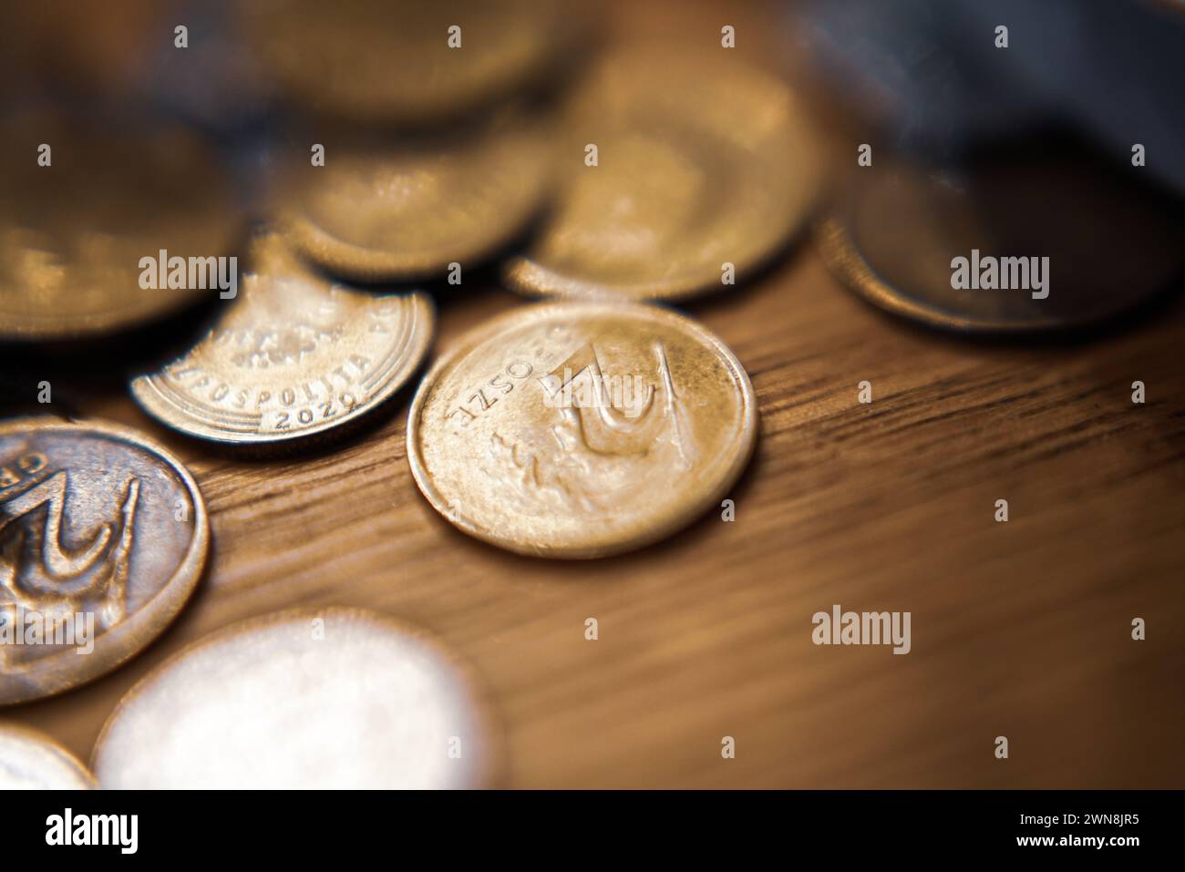 Polnische Münzen. Erstellung von Finanzplänen Stockfoto