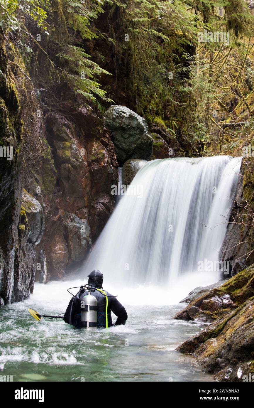 Rückansicht eines Tauchers, der im Fluss steht und den Wasserfall betrachtet Stockfoto