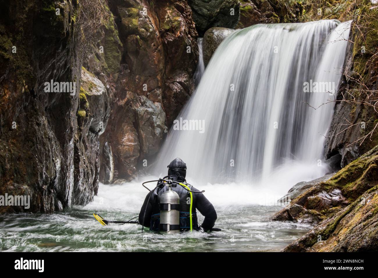 Rückansicht eines Tauchers, der im Fluss steht und den Wasserfall betrachtet Stockfoto