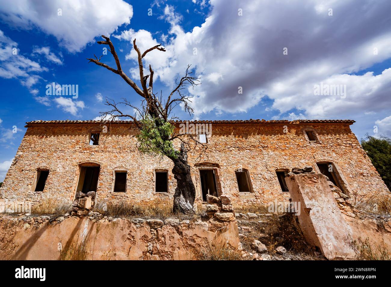 Mandelbaum vor dem verlassenen Haus Stockfoto