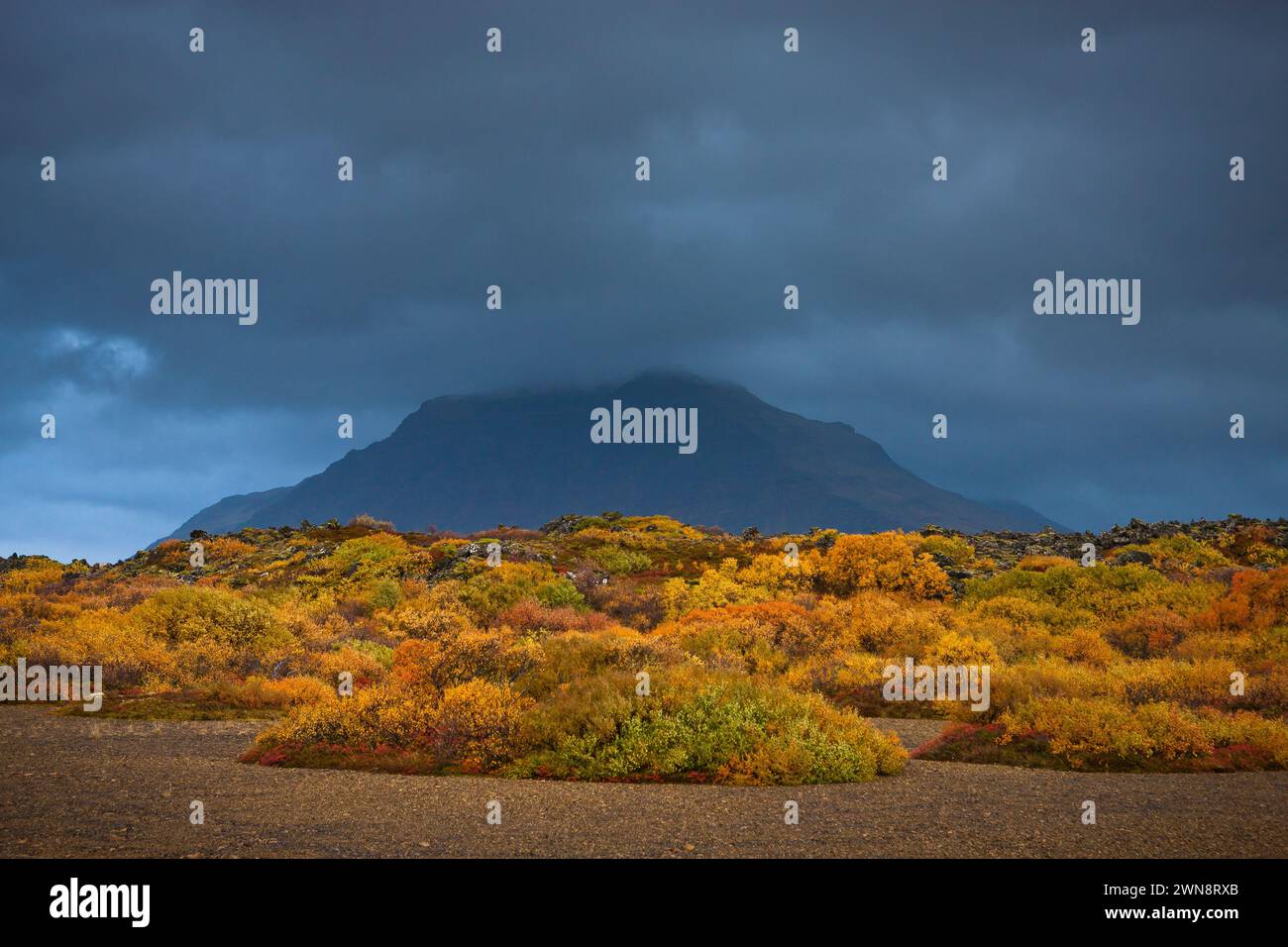Herbstfarben und ein verborgener Berg Stockfoto