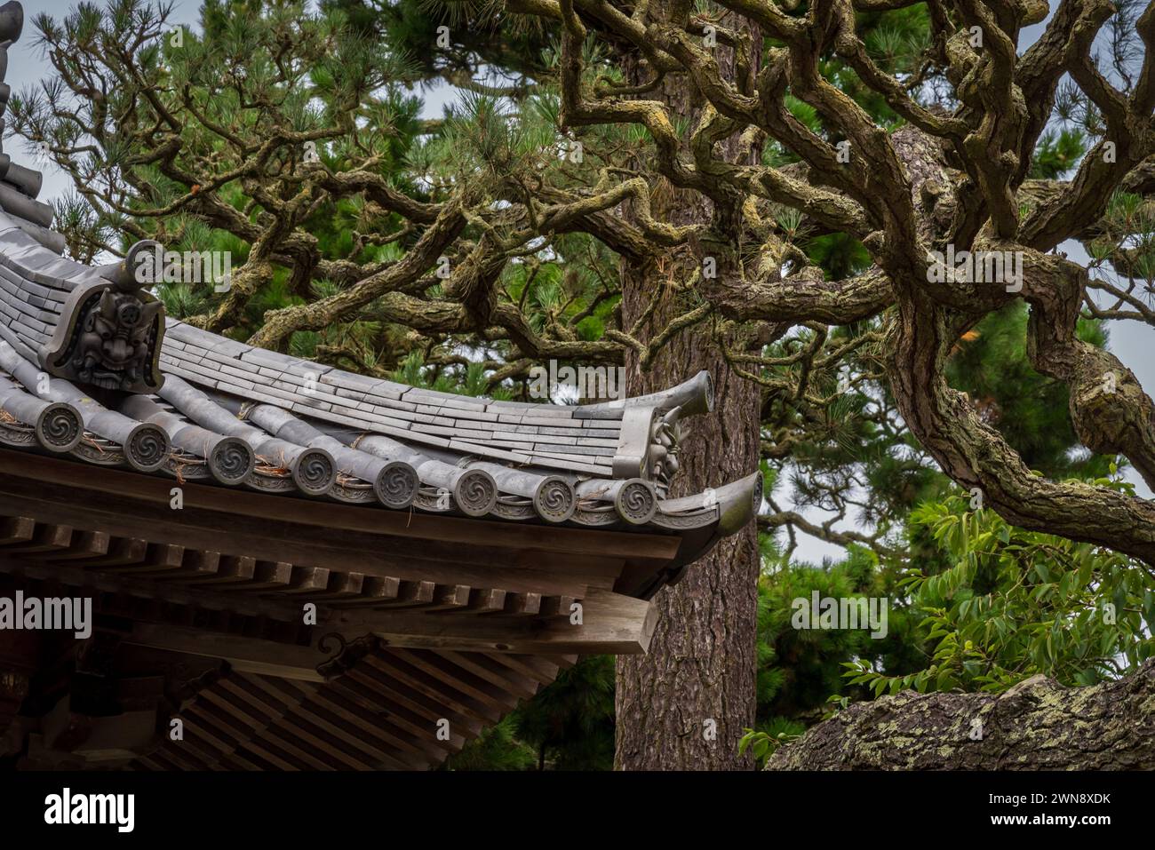 Üppige Vegetation und farbenfrohe Architektur des Japanischen Teegartens im Golden Gate Park, San Francisco, Kalifornien. Stockfoto