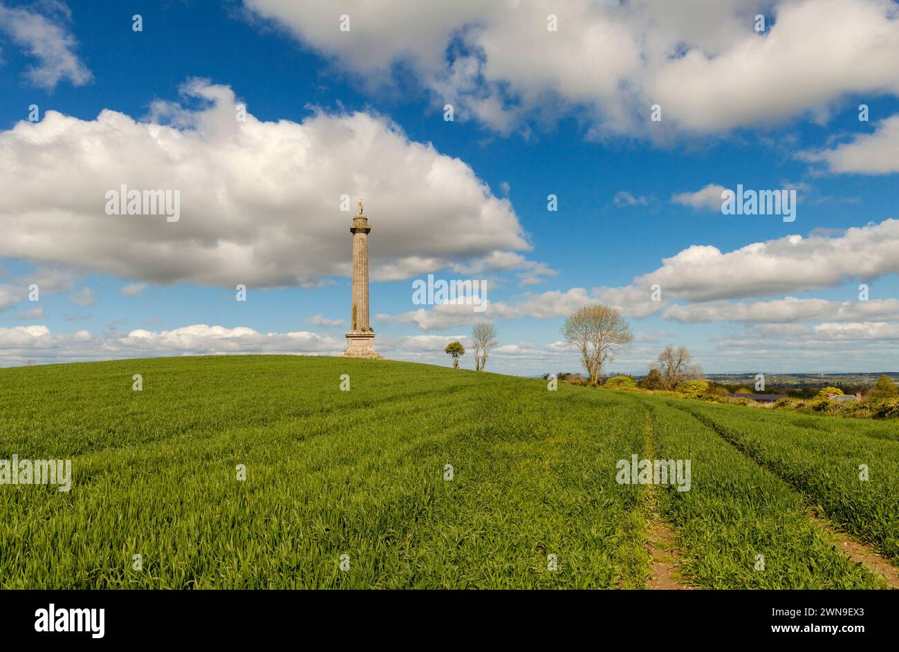 Die Monumental-Säule des Marquis of Downshire, etwas außerhalb von Hillsborough, County Down, Nordirland Stockfoto