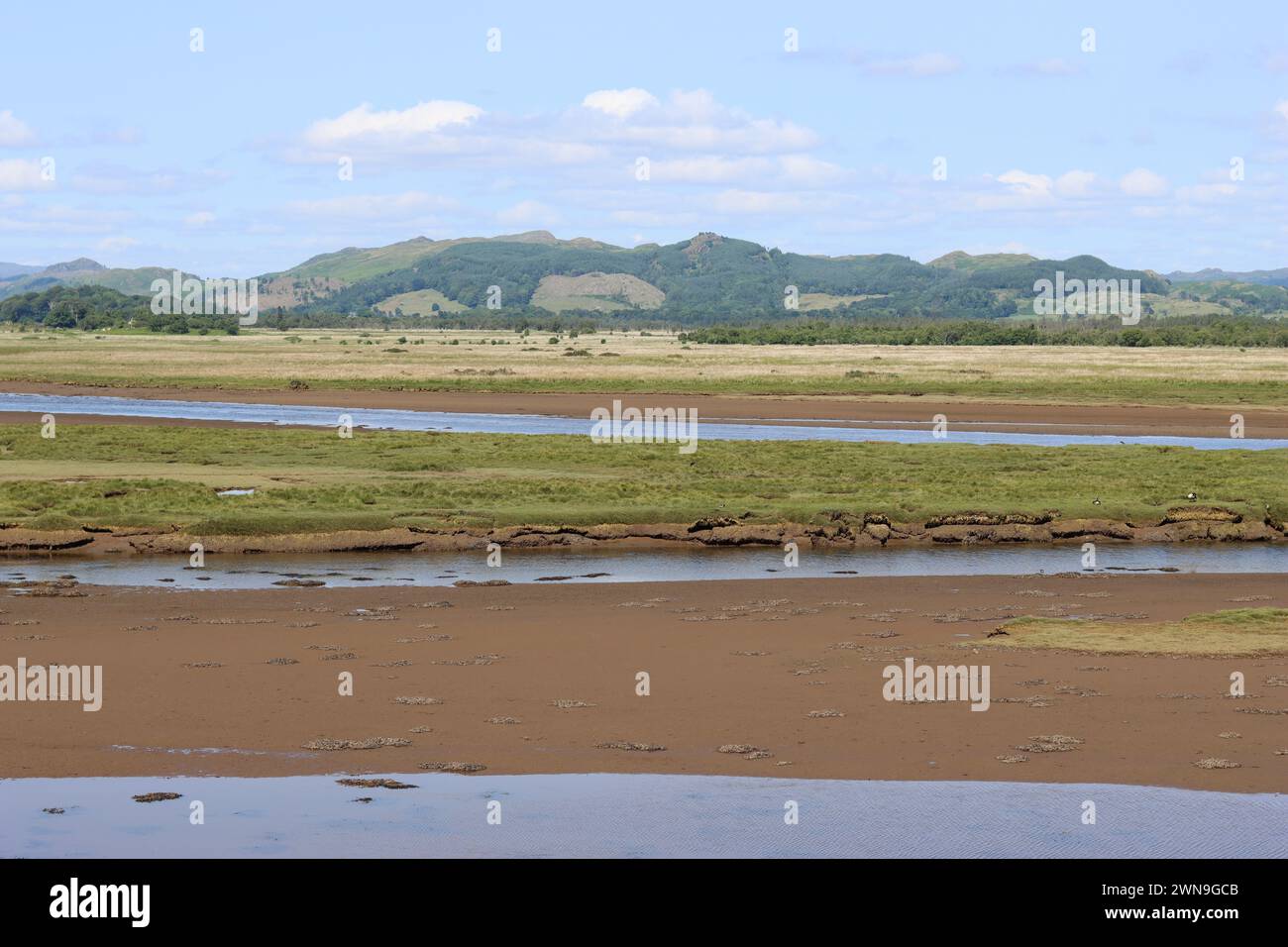 Blick auf das Moine Mhor Hochmoor Naturschutzgebiet, Schottland, bei Ebbe Stockfoto