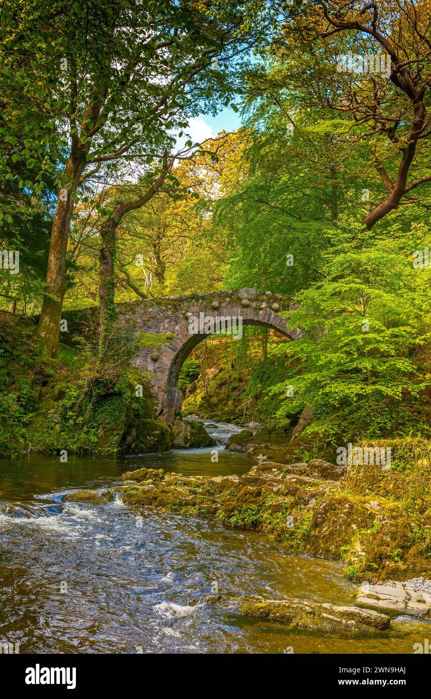Foley's Bridge überquert den Shimna River im Tollymore Forest Park im County Down, Nordirland Stockfoto
