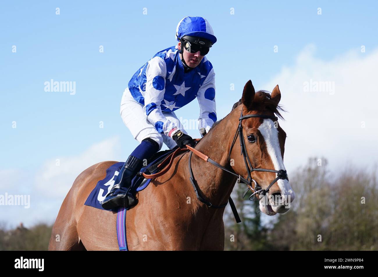 Party Island und Jockey George Bass nach dem Boost Your Acca mit BetUK Apprentice Handicap auf der Rennbahn Lingfield Park in Surrey. Bilddatum: Freitag, 1. März 2024. Stockfoto