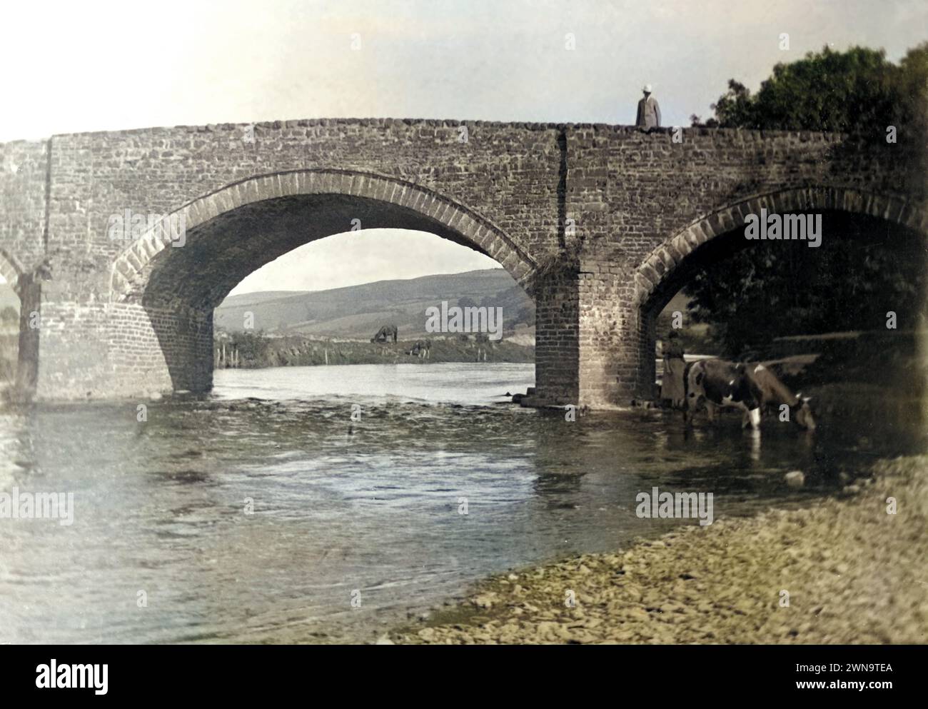 1895 Historisches Foto von Kühen in River by Bridge bei Keswick, Lake District, Cumberland, England, Großbritannien Stockfoto