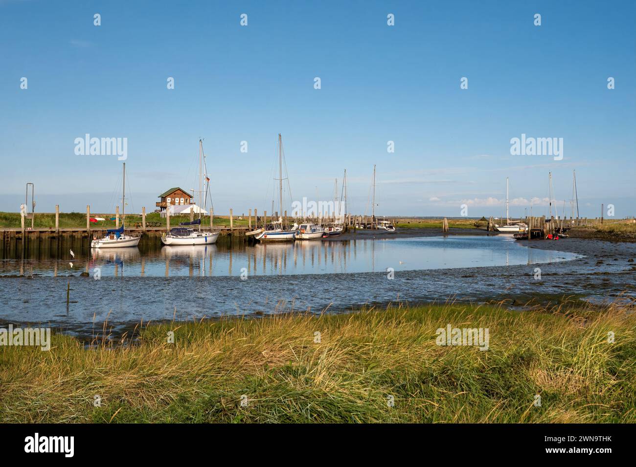 Segelboote und Seilerhus im Hafen von Hooge hallig, Nordfriesische Inseln, Schleswig-Holstein, Deutschland Stockfoto