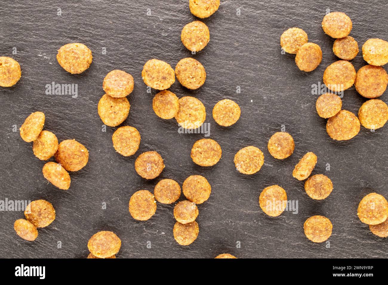 Hundefutter auf Schieferstein, Makro, Blick von oben. Stockfoto