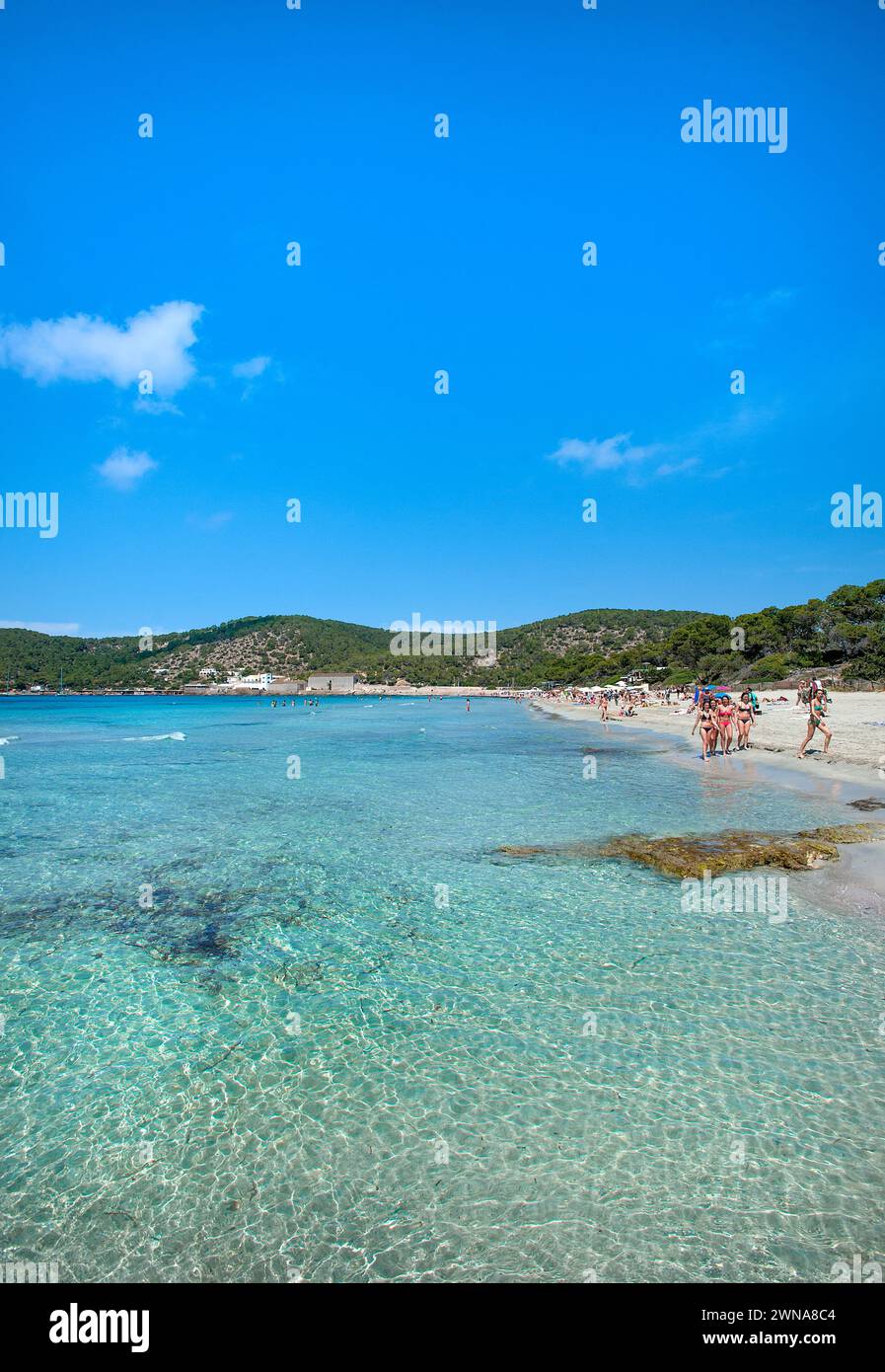 Strand in SES Salines, Ibiza, Balearen, Spanien Stockfoto