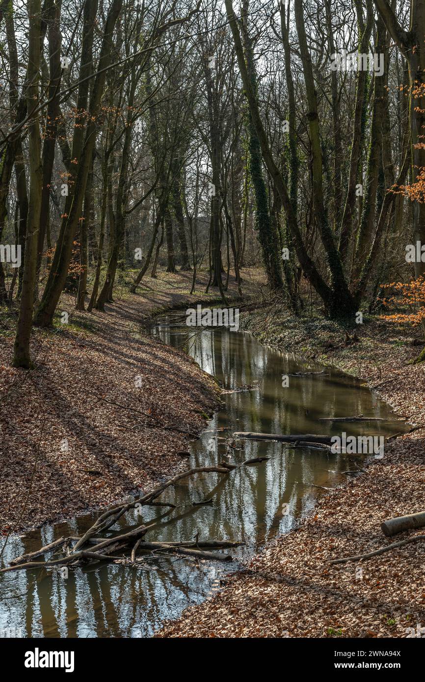 Seitenarm der Nidda in Frankfurt, Hessen, Deutschland Stockfoto