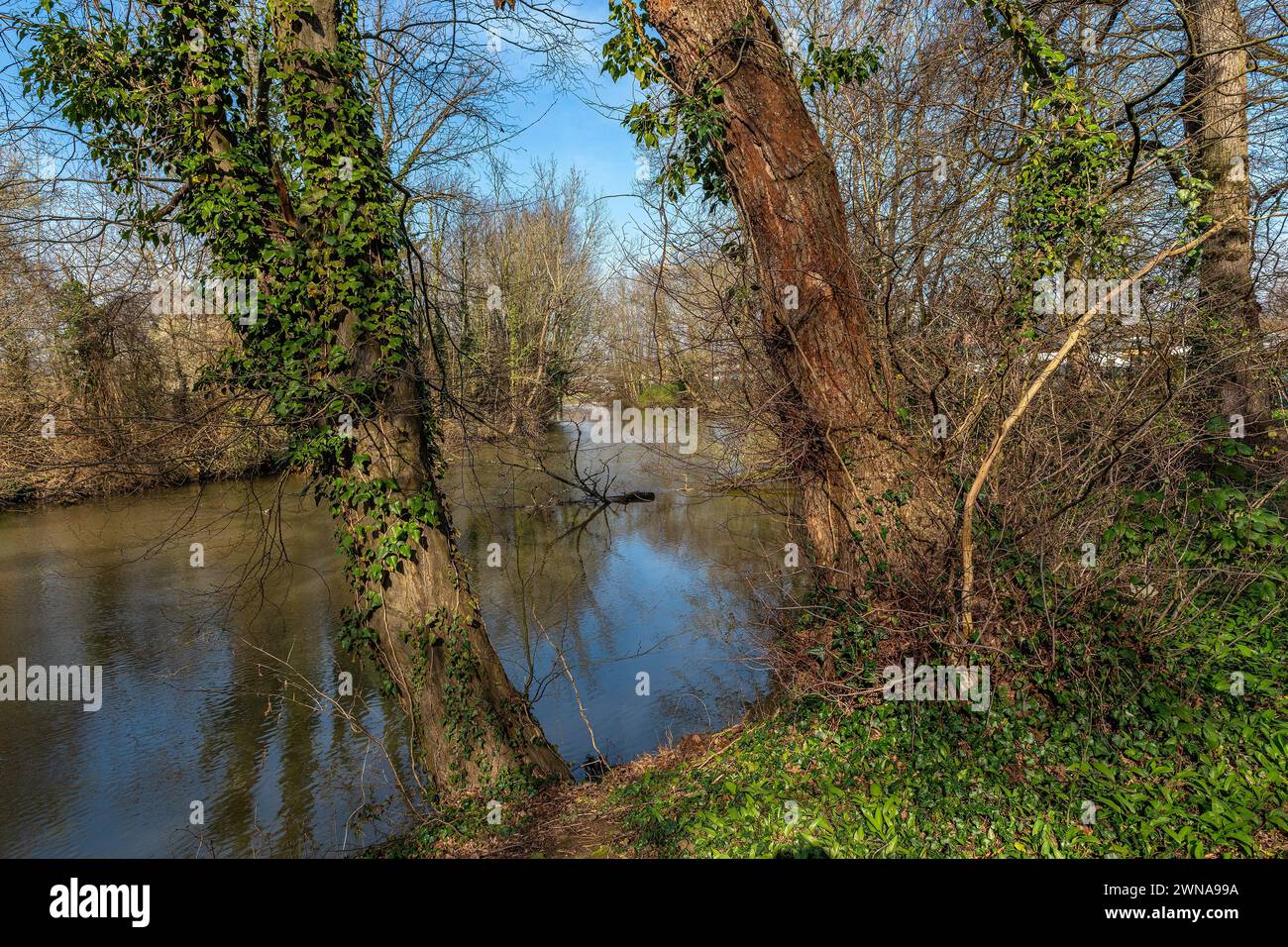 Seitenarm der Nidda in Frankfurt, Hessen, Deutschland Stockfoto