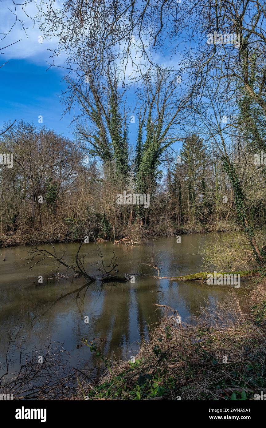Seitenarm der Nidda in Frankfurt, Hessen, Deutschland Stockfoto