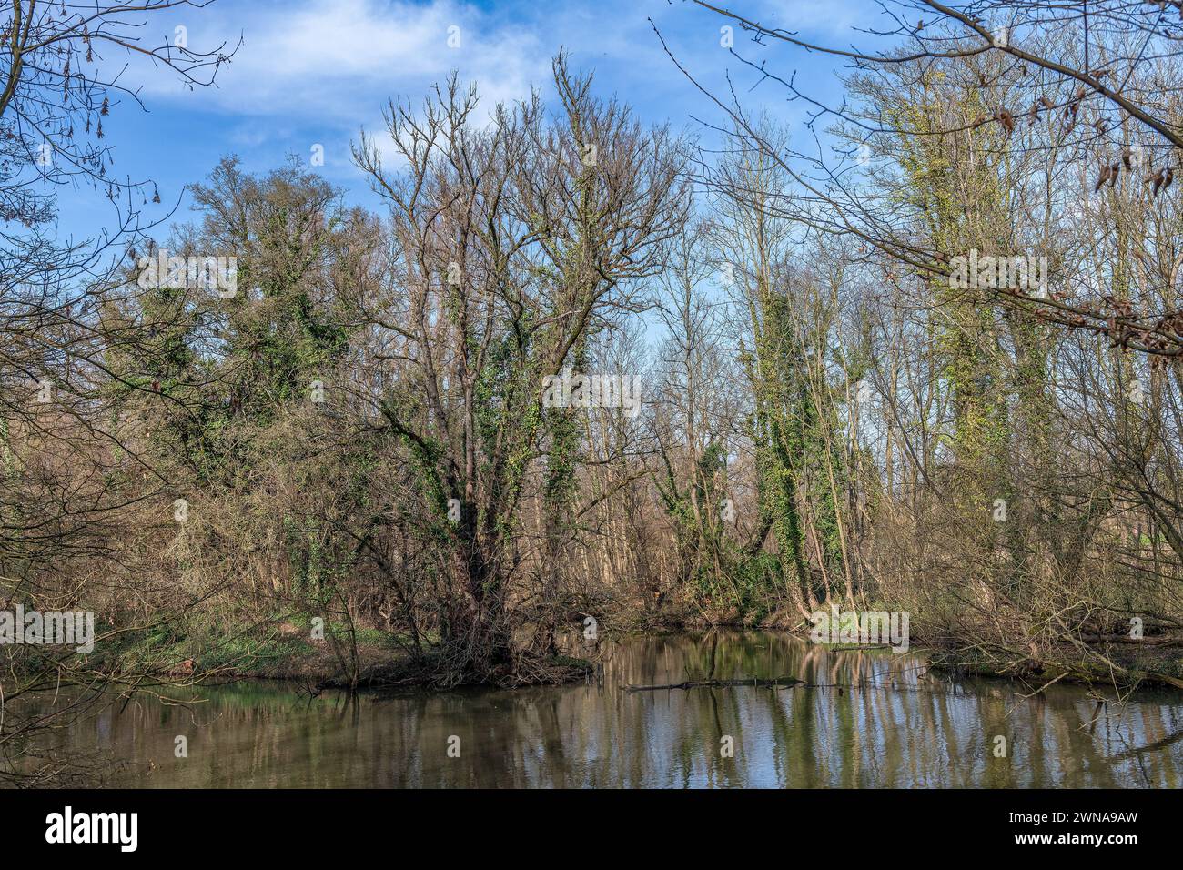 Seitenarm der Nidda in Frankfurt, Hessen, Deutschland Stockfoto