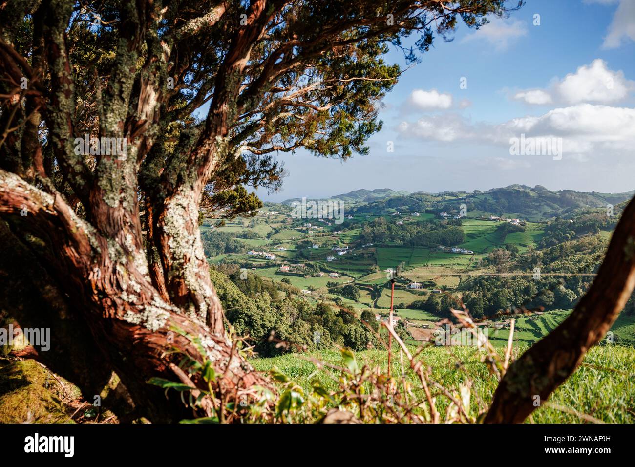 Atemberaubende Natur und Landschaften, auf den Azoren Inseln im Atlantik, reisen in Portugal. Stockfoto