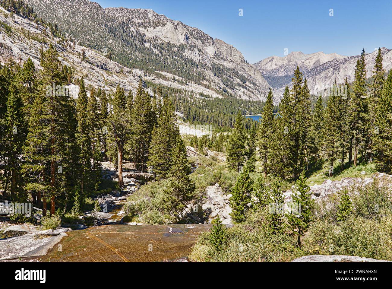 Alpine Berge und Wanderwege führen ins Tal im Kings Canyon National Park. Stockfoto