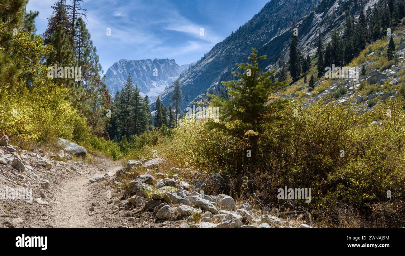 Alpine Berge und Wanderwege führen ins Tal im Kings Canyon National Park. Stockfoto
