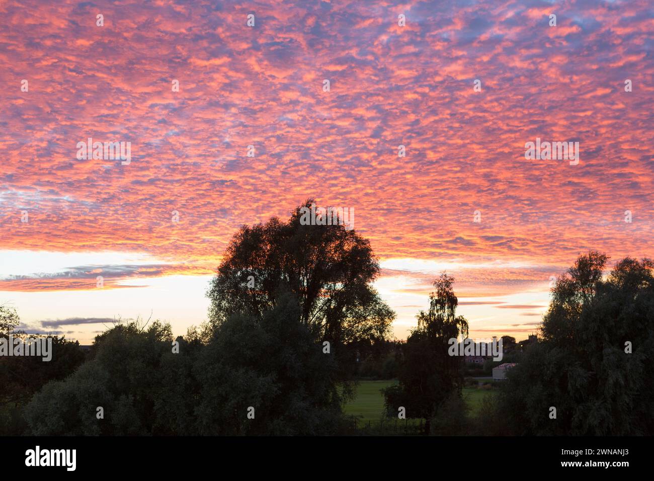 Makrelenhimmel Wolken bei Sonnenuntergang. Stockfoto