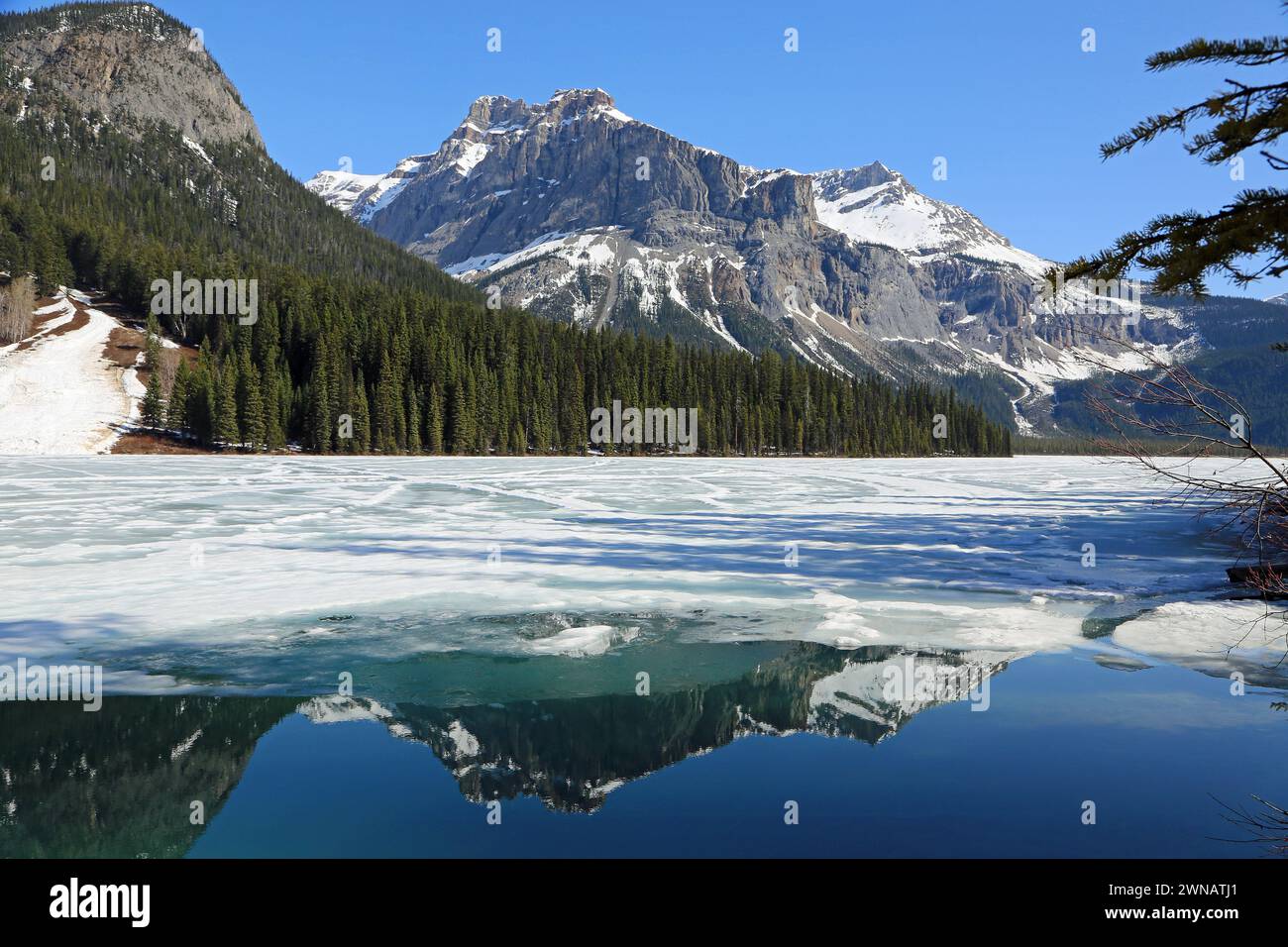 Michael Peak - Emerald Lake, Kanada Stockfoto