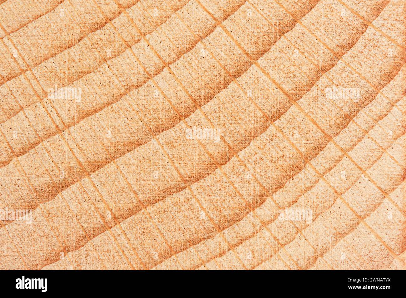 Hintergrund Mit Glatter Buchenholz-Textur. Modern und schlank, perfekt für eine klare Ästhetik in Designs Stockfoto