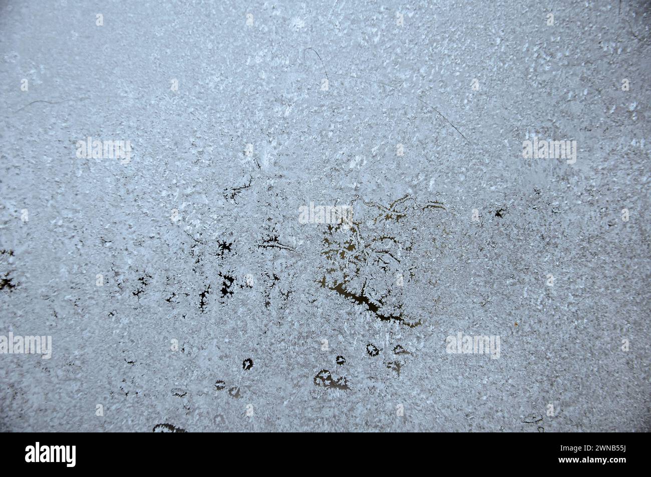 Abstraktes frostiges Muster auf Glas, Hintergrundstruktur, Muster. Stockfoto