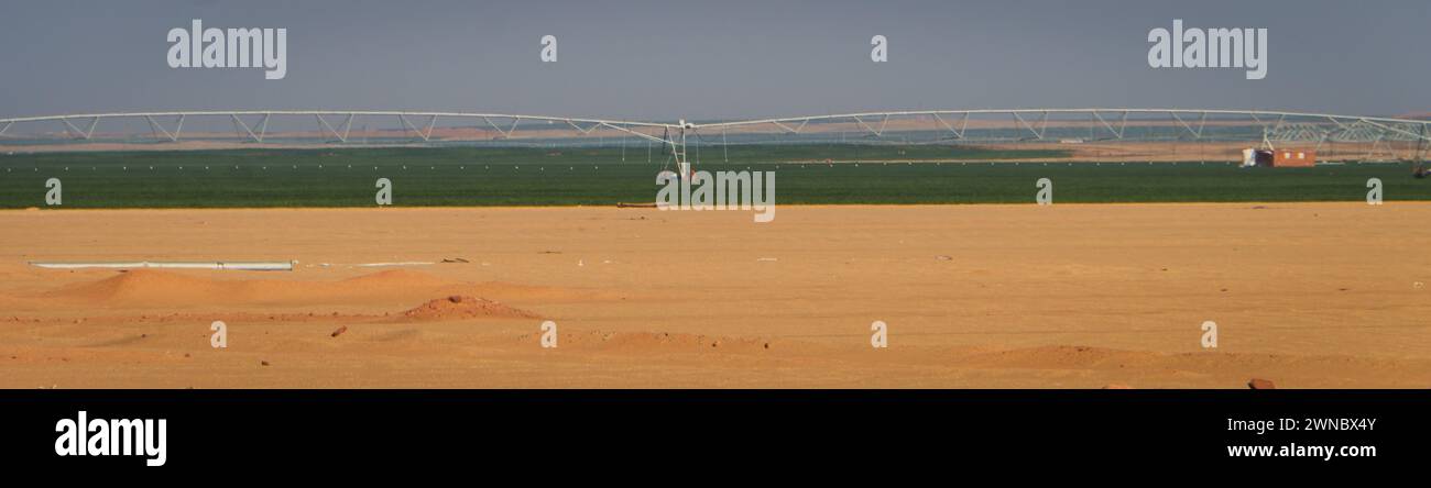 Bewässerung der Wüste vom Nassersee und dem Nil Stockfoto