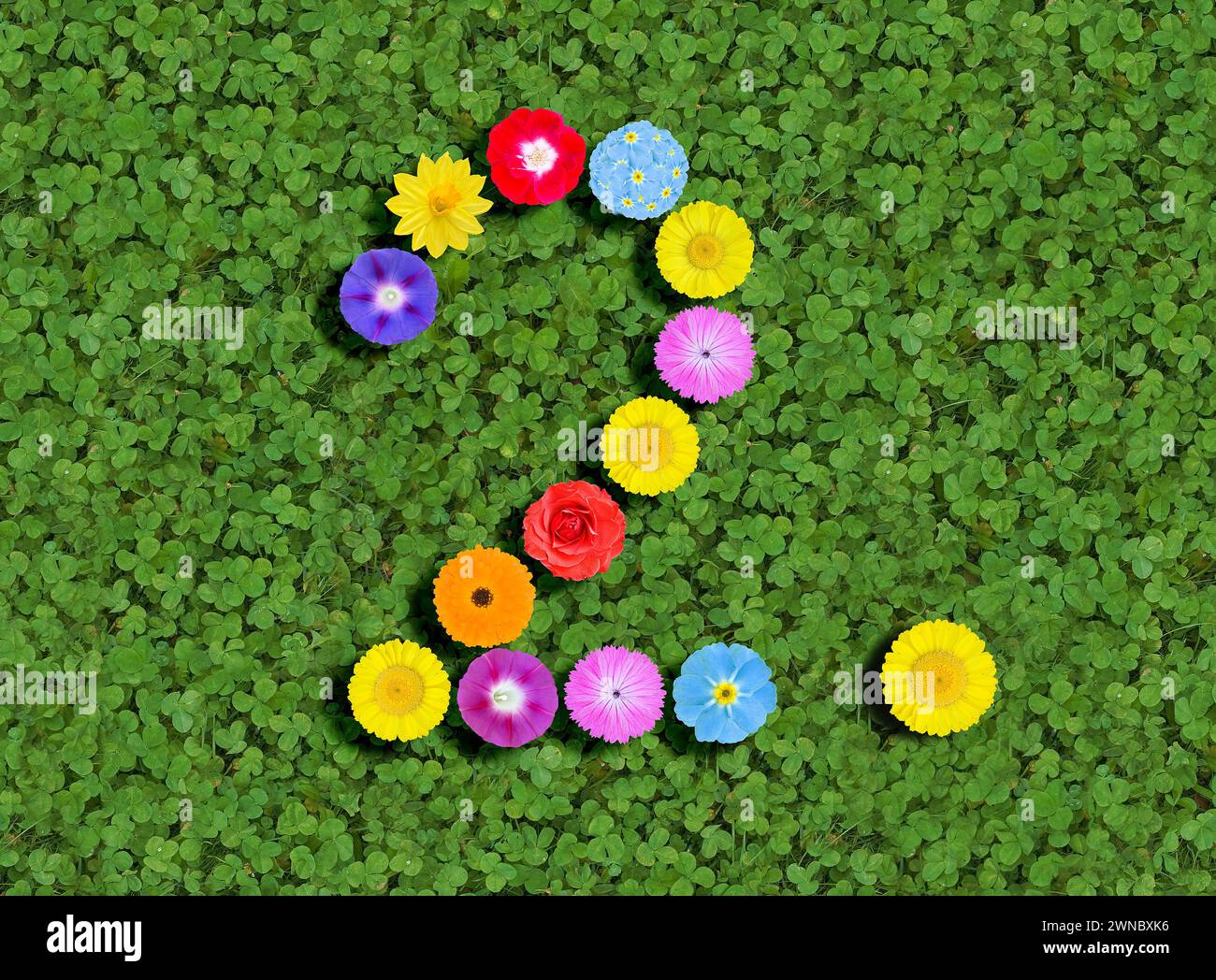 Nummer geschrieben mit bunten Blumen auf grünem Kleeblatt Hintergrund Stockfoto