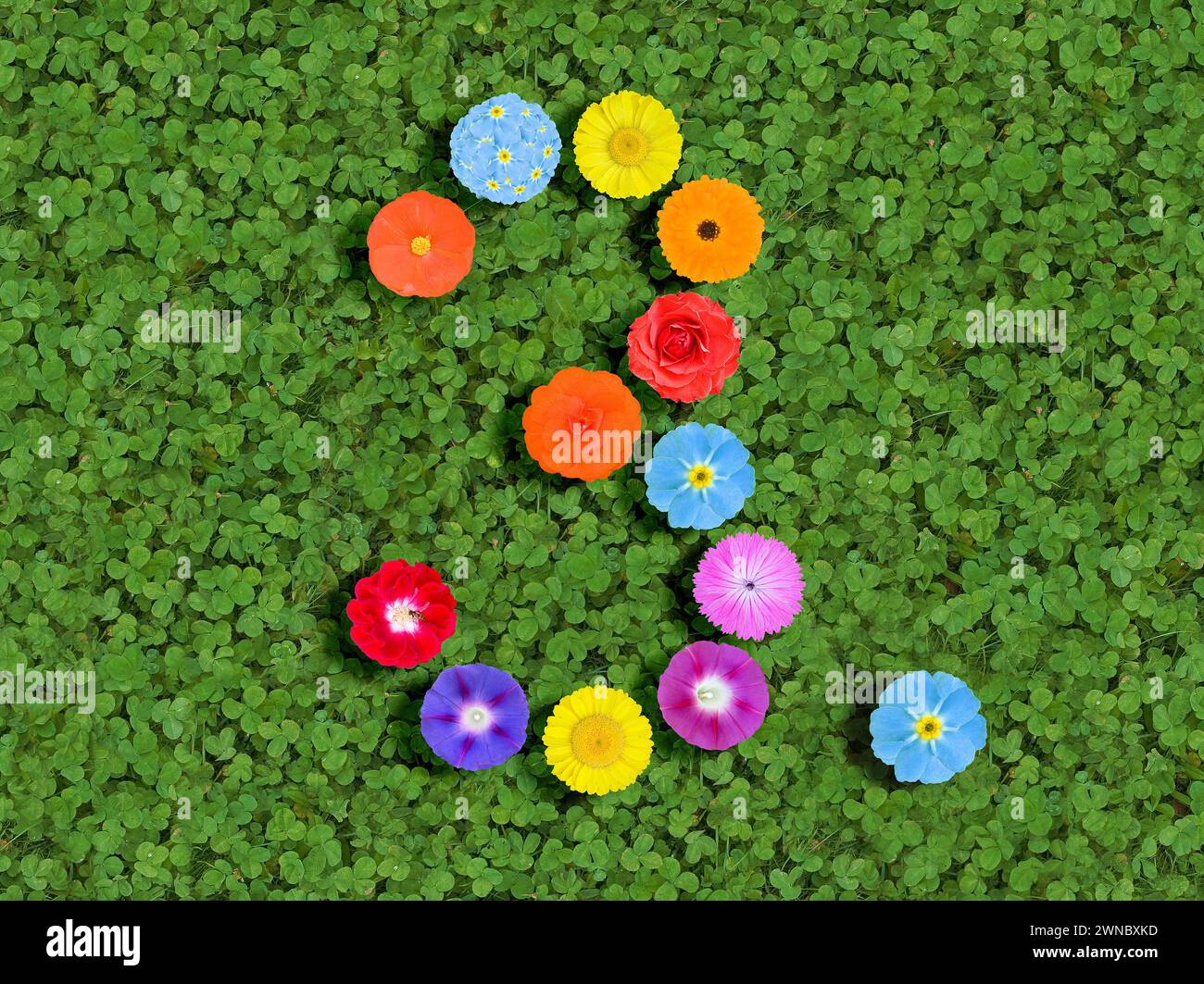Nummer geschrieben mit bunten Blumen auf grünem Kleeblatt Hintergrund Stockfoto