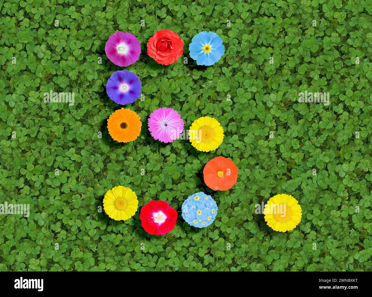 Nummer geschrieben mit bunten Blumen auf grünem Kleeblatt Hintergrund Stockfoto