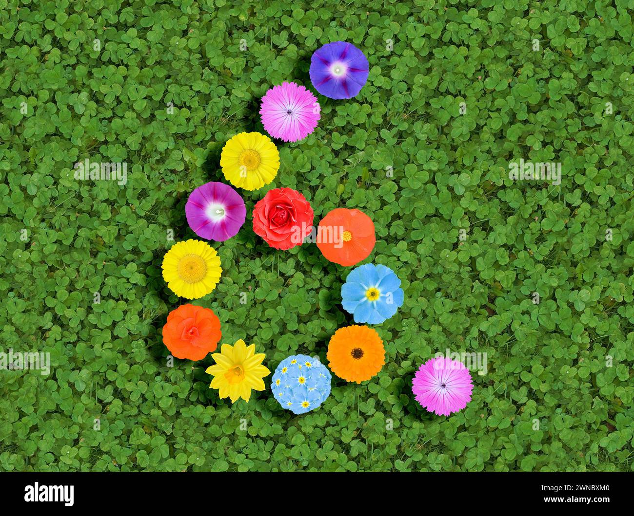 Nummer geschrieben mit bunten Blumen auf grünem Kleeblatt Hintergrund Stockfoto