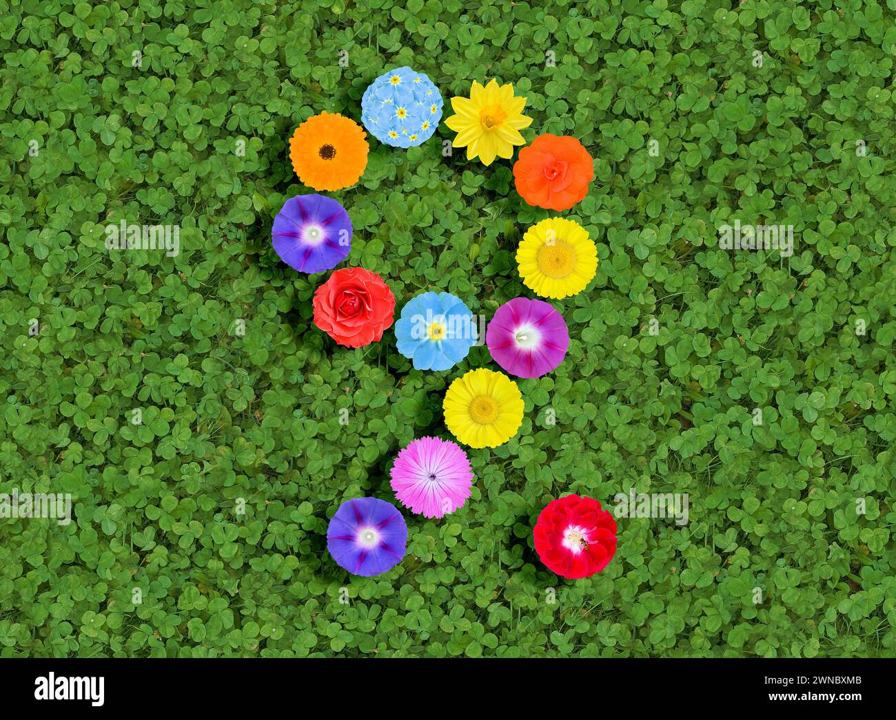 Nummer geschrieben mit bunten Blumen auf grünem Kleeblatt Hintergrund Stockfoto