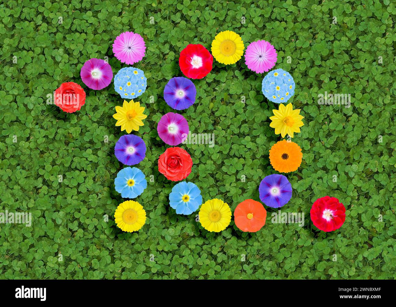 Nummer geschrieben mit bunten Blumen auf grünem Kleeblatt Hintergrund Stockfoto