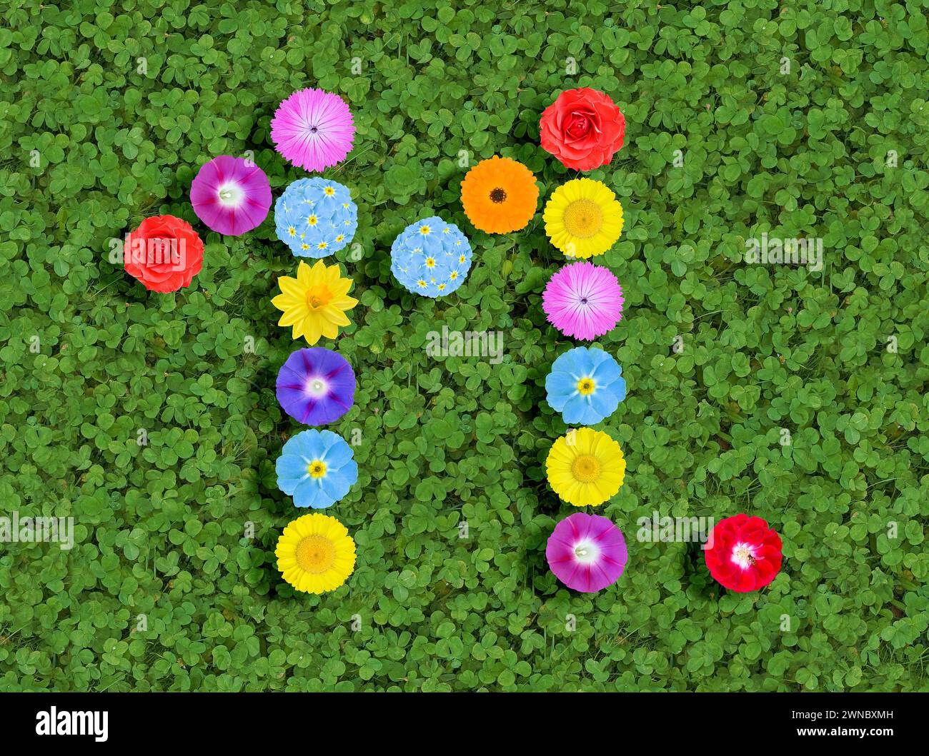 Nummer geschrieben mit bunten Blumen auf grünem Kleeblatt Hintergrund Stockfoto
