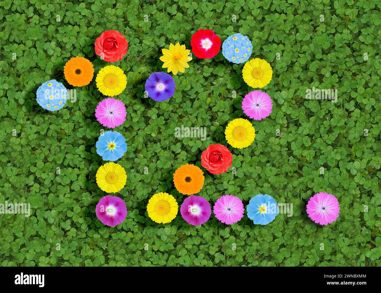 Nummer geschrieben mit bunten Blumen auf grünem Kleeblatt Hintergrund Stockfoto