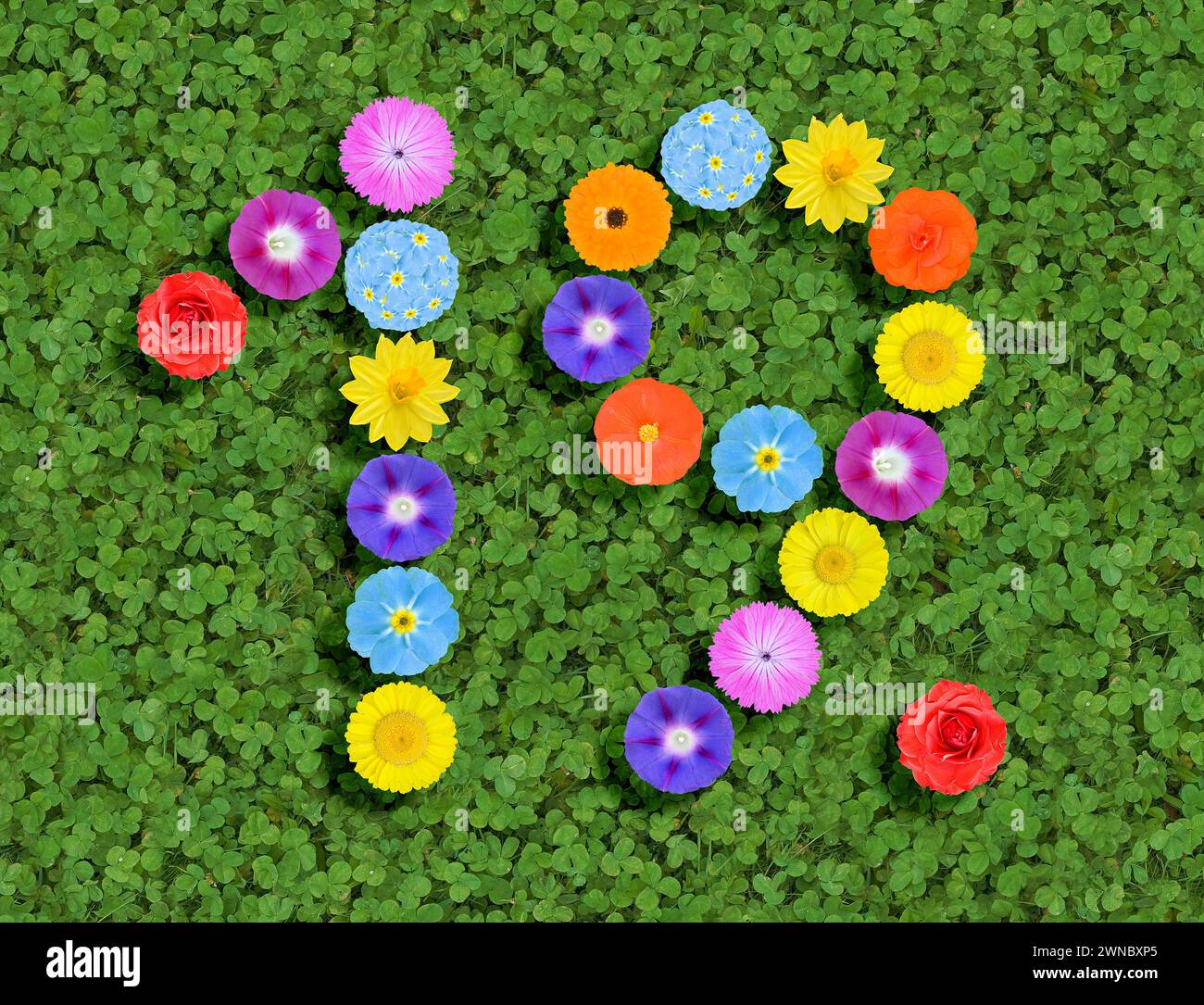 Nummer geschrieben mit bunten Blumen auf grünem Kleeblatt Hintergrund Stockfoto
