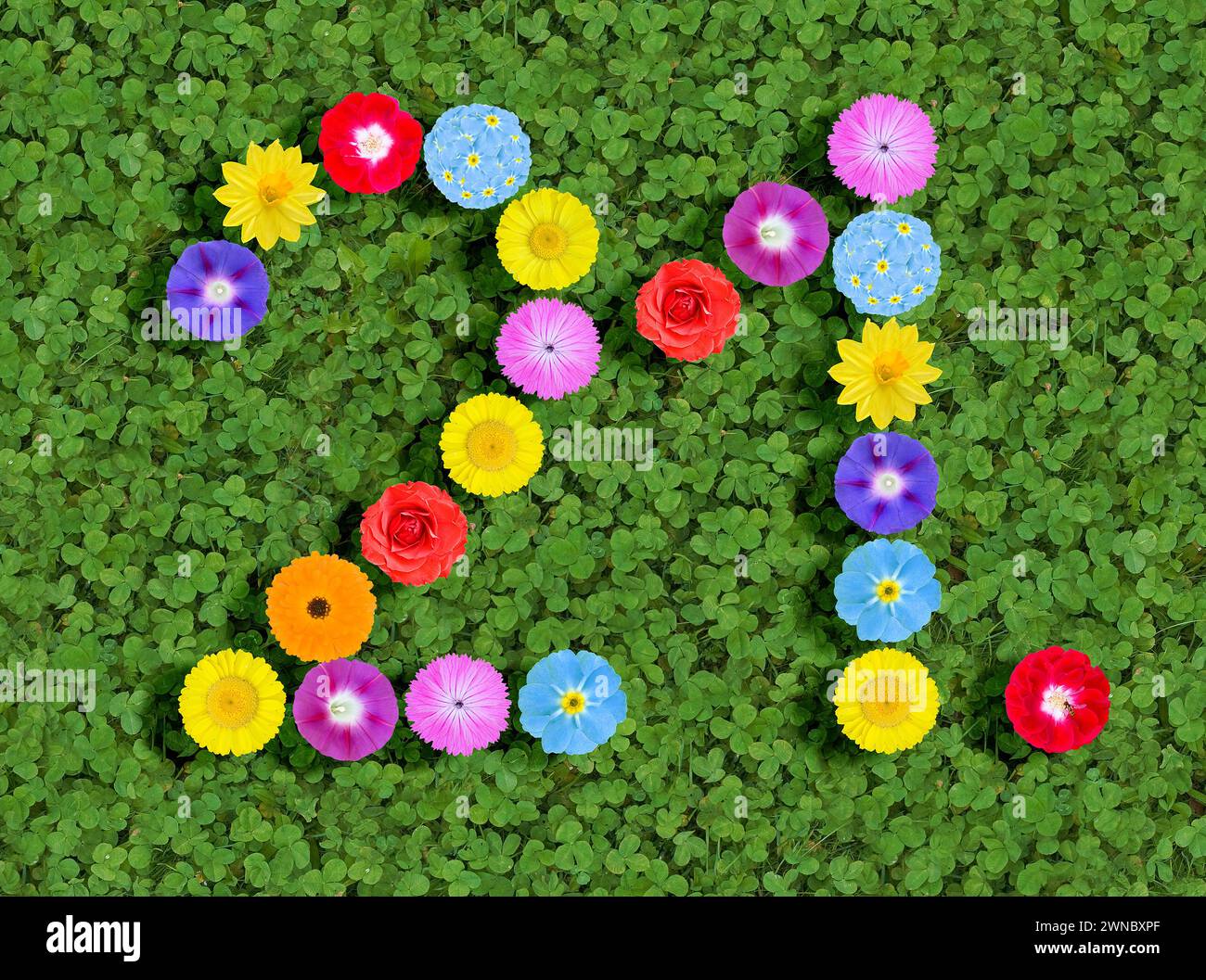 Nummer geschrieben mit bunten Blumen auf grünem Kleeblatt Hintergrund Stockfoto