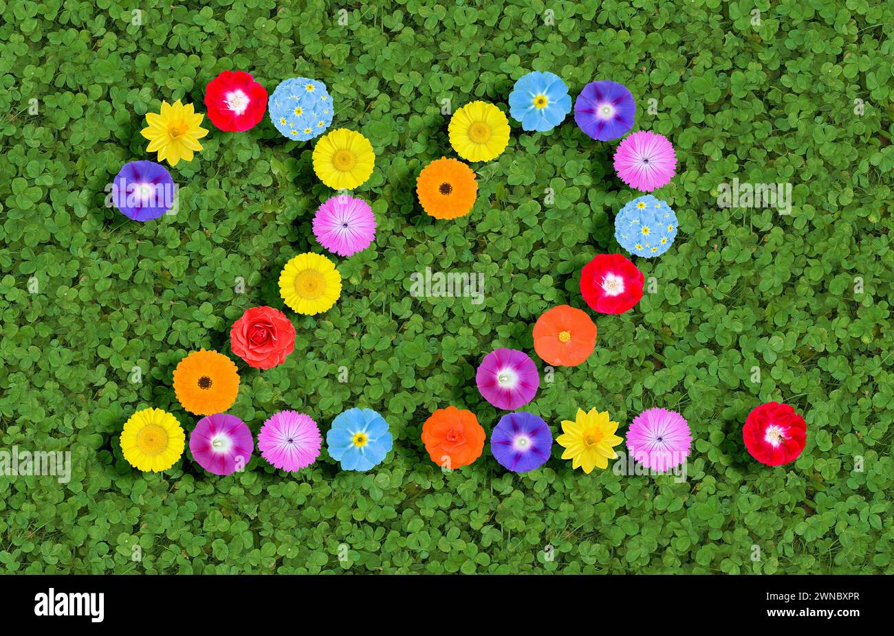 Nummer geschrieben mit bunten Blumen auf grünem Kleeblatt Hintergrund Stockfoto