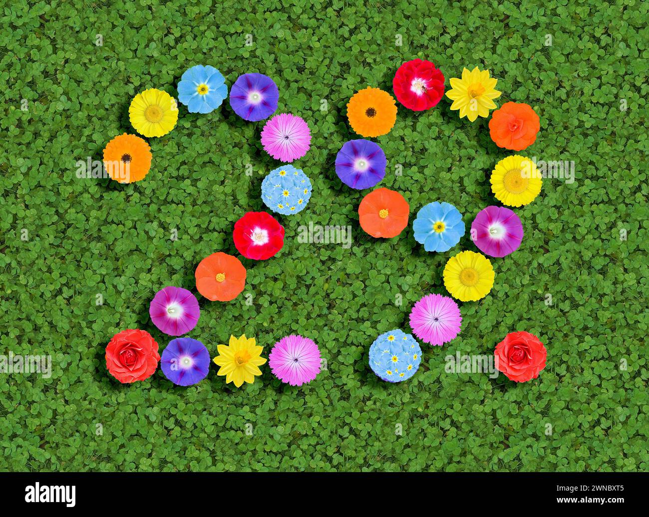 Nummer geschrieben mit bunten Blumen auf grünem Kleeblatt Hintergrund Stockfoto