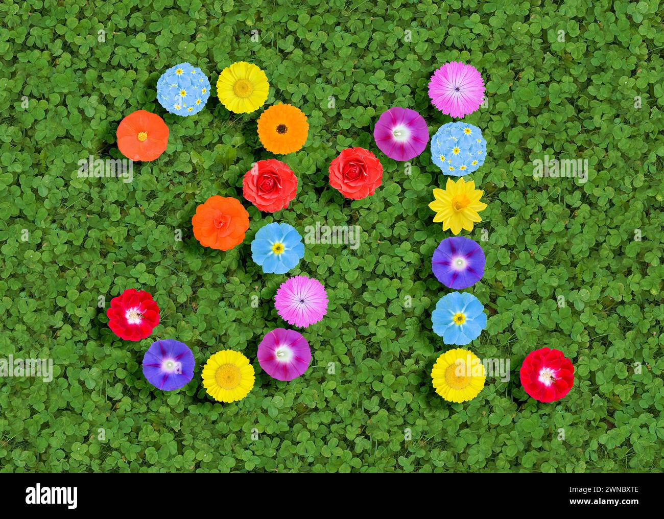 Nummer geschrieben mit bunten Blumen auf grünem Kleeblatt Hintergrund Stockfoto