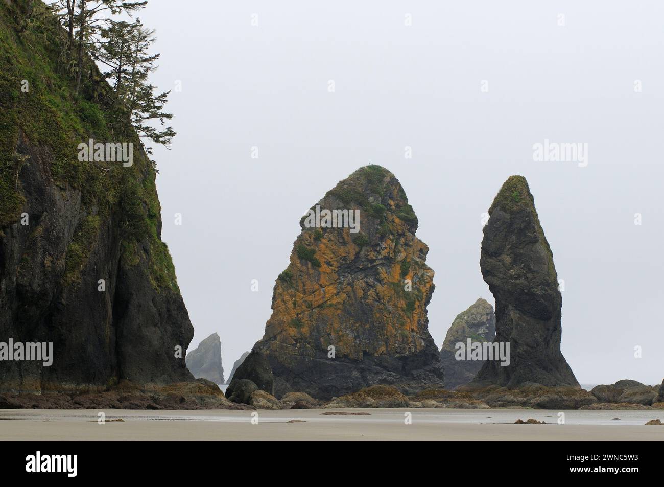 Point of Arches am Shi Shi Beach, Olympic National Park, Washington, USA Stockfoto