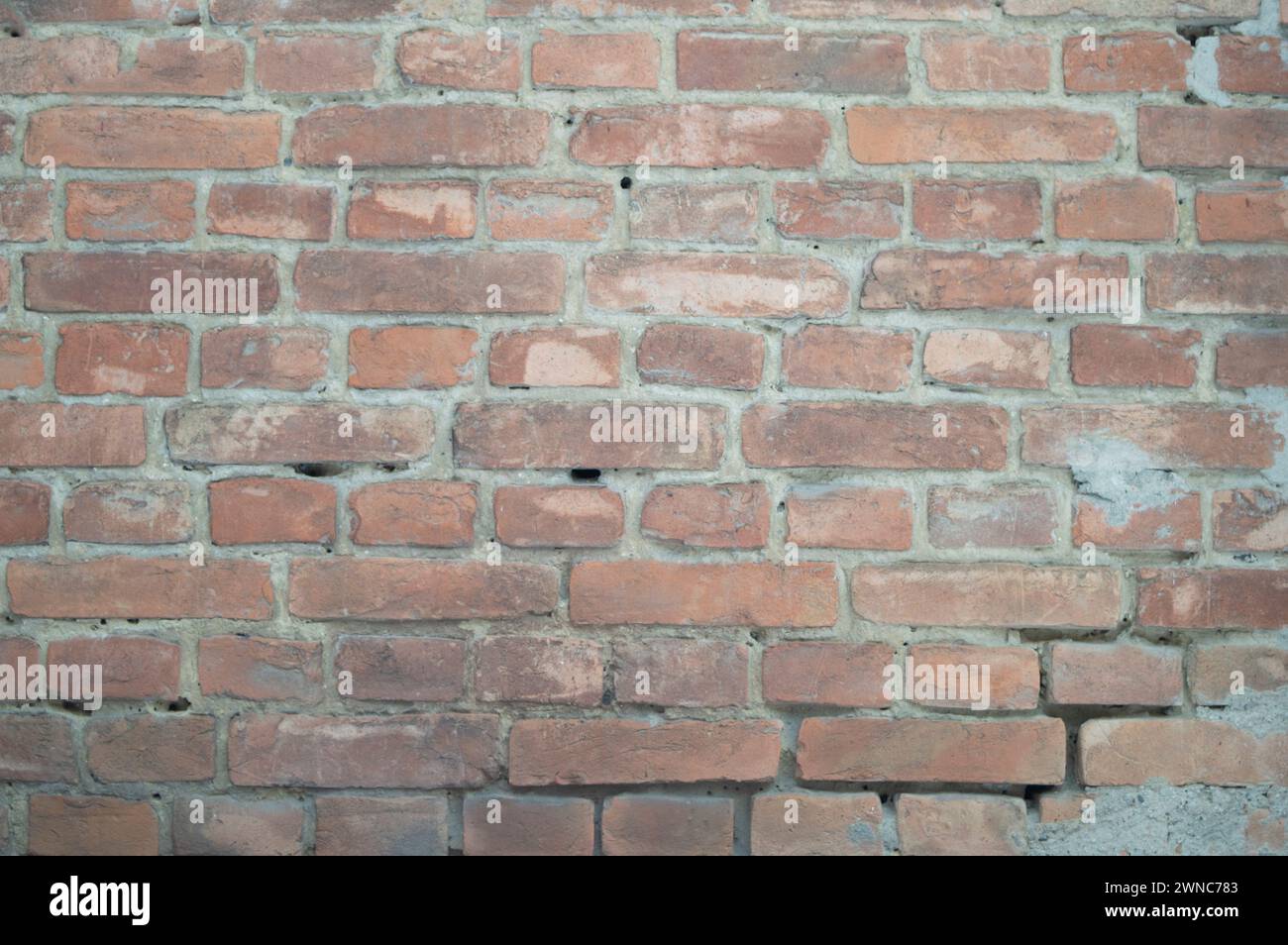 Die Textur einer alten Ziegelmauer mit natürlichen Defekten. Kratzer, Risse, Spalten, Späne, Staub, Rauheit, Abrieb. Vorlage für Design und Backgrou Stockfoto