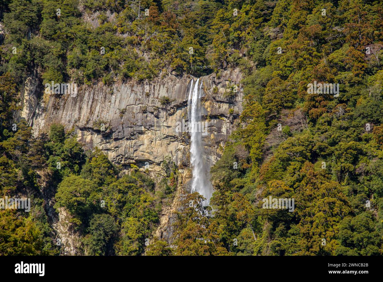 Nachi Falls Nachi no Taki in Nachikatsuura, Präfektur Wakayama in Japan, zweithöchster japanischer Wasserfall in Kumano Kodo Stockfoto