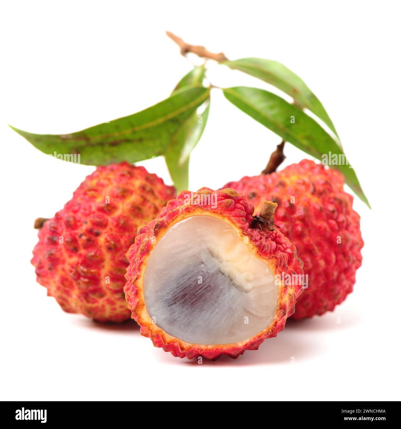 Frischer Litschi (Litchi chinensis) isoliert auf weißem Hintergrund Stockfoto