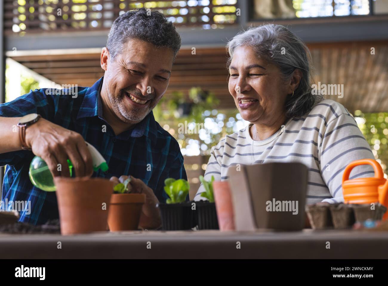 Ein hochrangiges Paar genießt es, gemeinsam im Garten zu arbeiten und einen freudigen Moment zu teilen Stockfoto