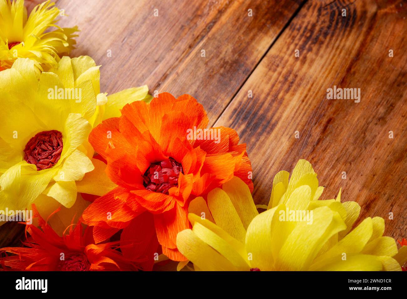 Farbenfrohe Papierblumen Eckrahmen auf Holzhintergrund. Dekoration Blumenmuster, Frühling, Ostern, Geburtstag, Happy Womens Day, Muttertag. Polizist Stockfoto