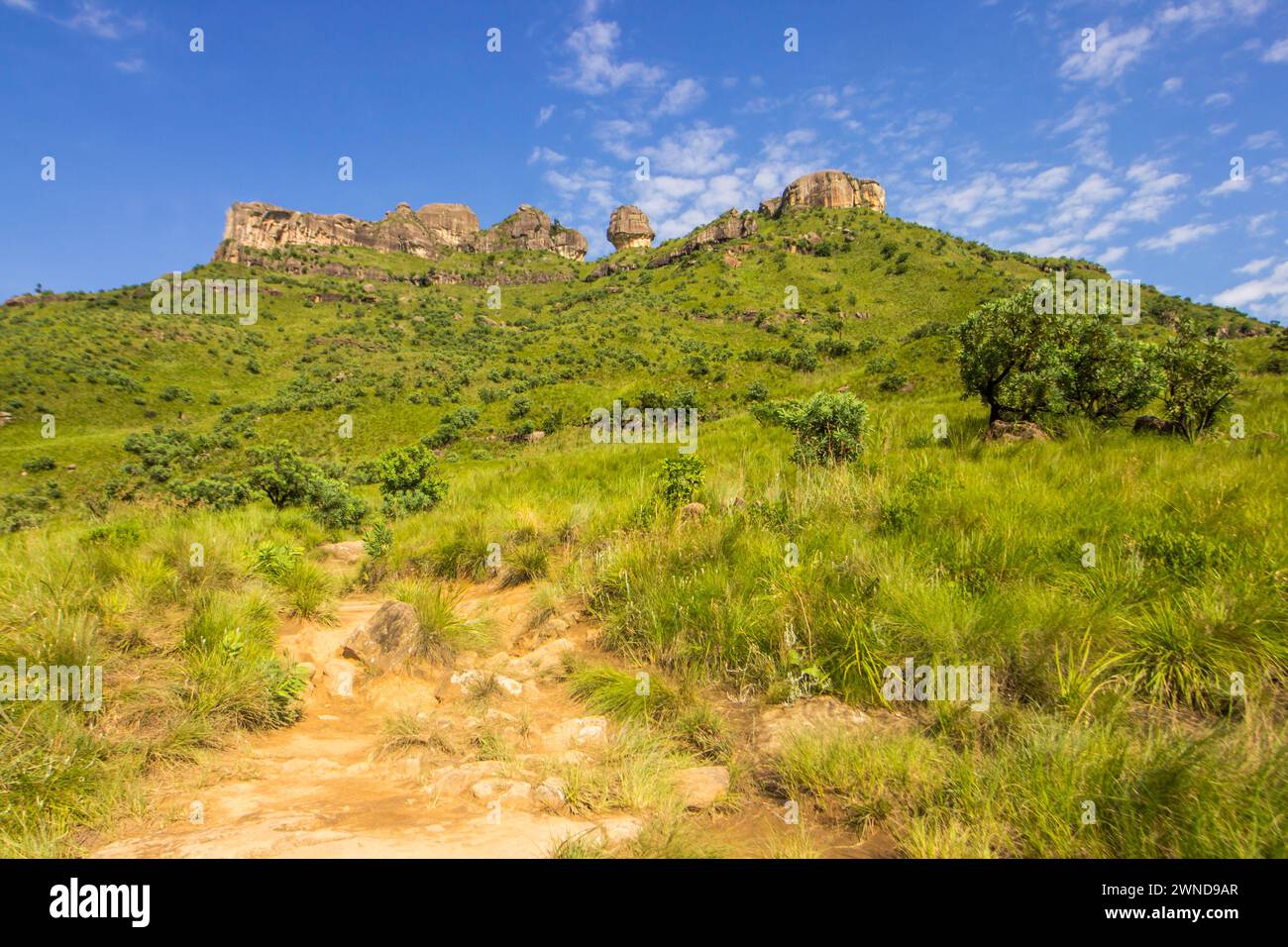 Wandern Sie durch das Grasland der Drakensberge mit bizarr verwitterten Sandsteinformationen und Klippen am Horizont. Stockfoto